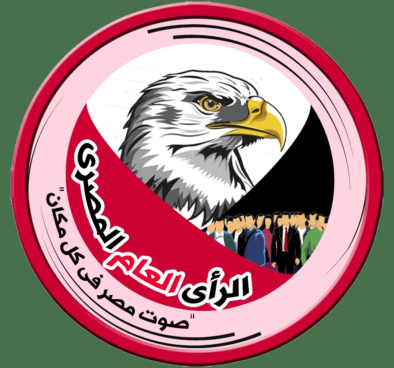 الرأي العام المصري